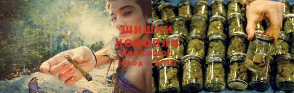 крисы Вязьма