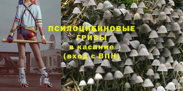 крисы Вязьма