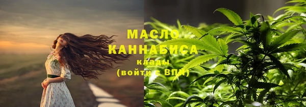 крисы Вязьма